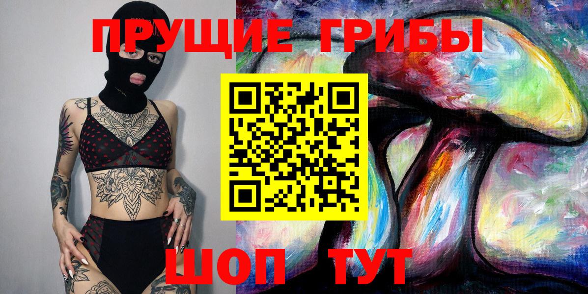 Псилоцибиновые грибы Psilocybe Луховицы