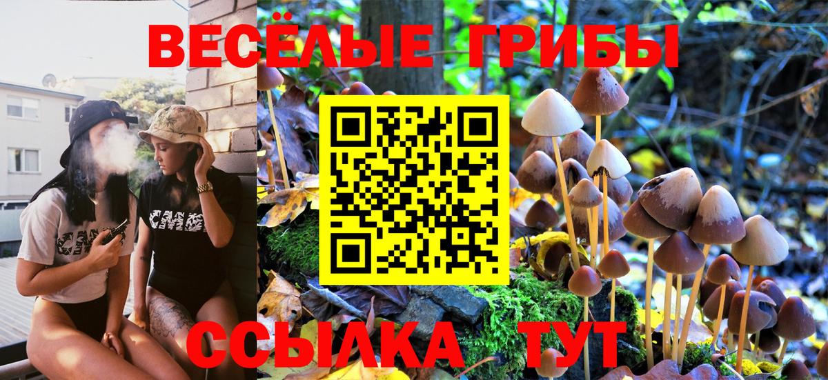 Луховицы  Псилоцибиновые грибы Cubensis  Вход с VPN 
